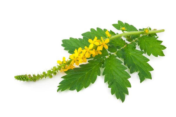 Agrimony Herb